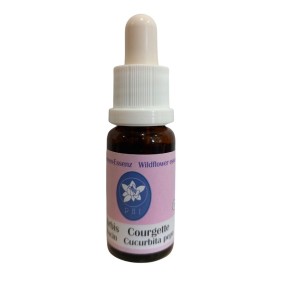 Essence de fleurs sauvages Korte - Courgette (Squash) 15 ml