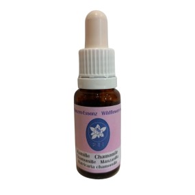 Korte Wildflower Essence - Chamomile (Chamomile) 15 ml