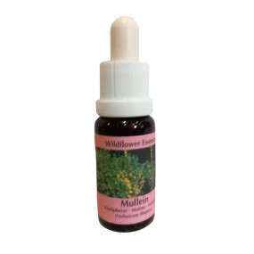 Wildflower Essence Korte - Mullein (Mullein) 15 ml