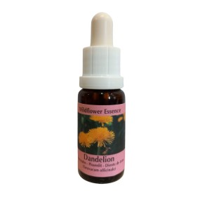 Esencia de flores silvestres corta - Diente de león (Dandelion) 15 ml