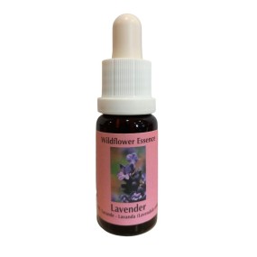 Korte Wildflower Essence - Lavender 15 ml