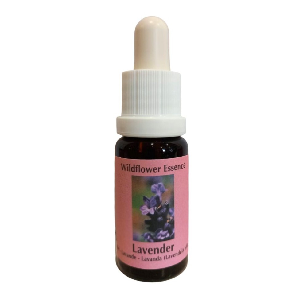 Lavanda (Lavanda) 15 ml