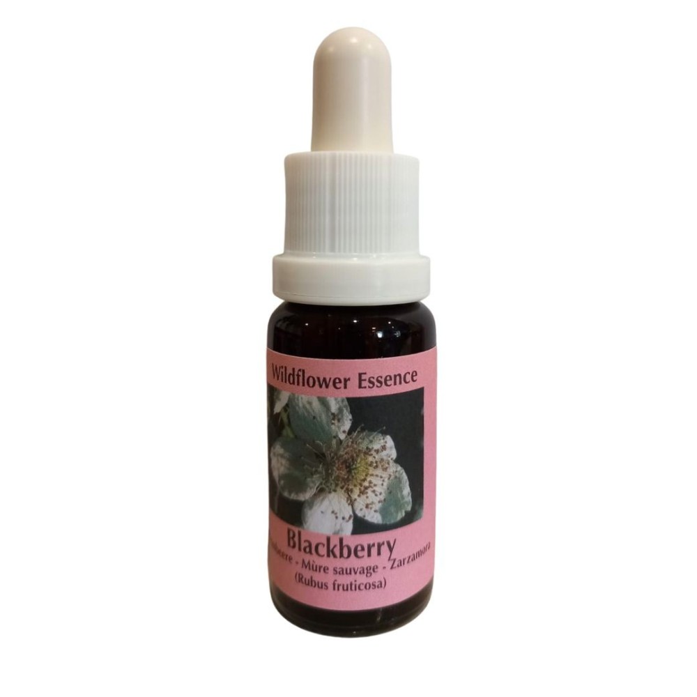 Blackberry (Mora) 15 ml