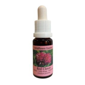 Esencia de flores silvestres Korte - Trébol rojo 15 ml