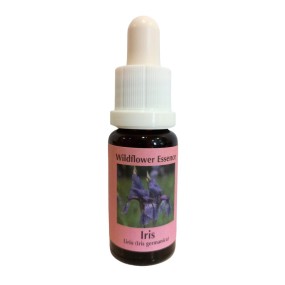 Korte Wildblütenessenz – Iris (Iris) 15 ml