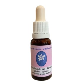 Korte Wildblütenessenz – Weidenröschen (Epilobium) 15 ml