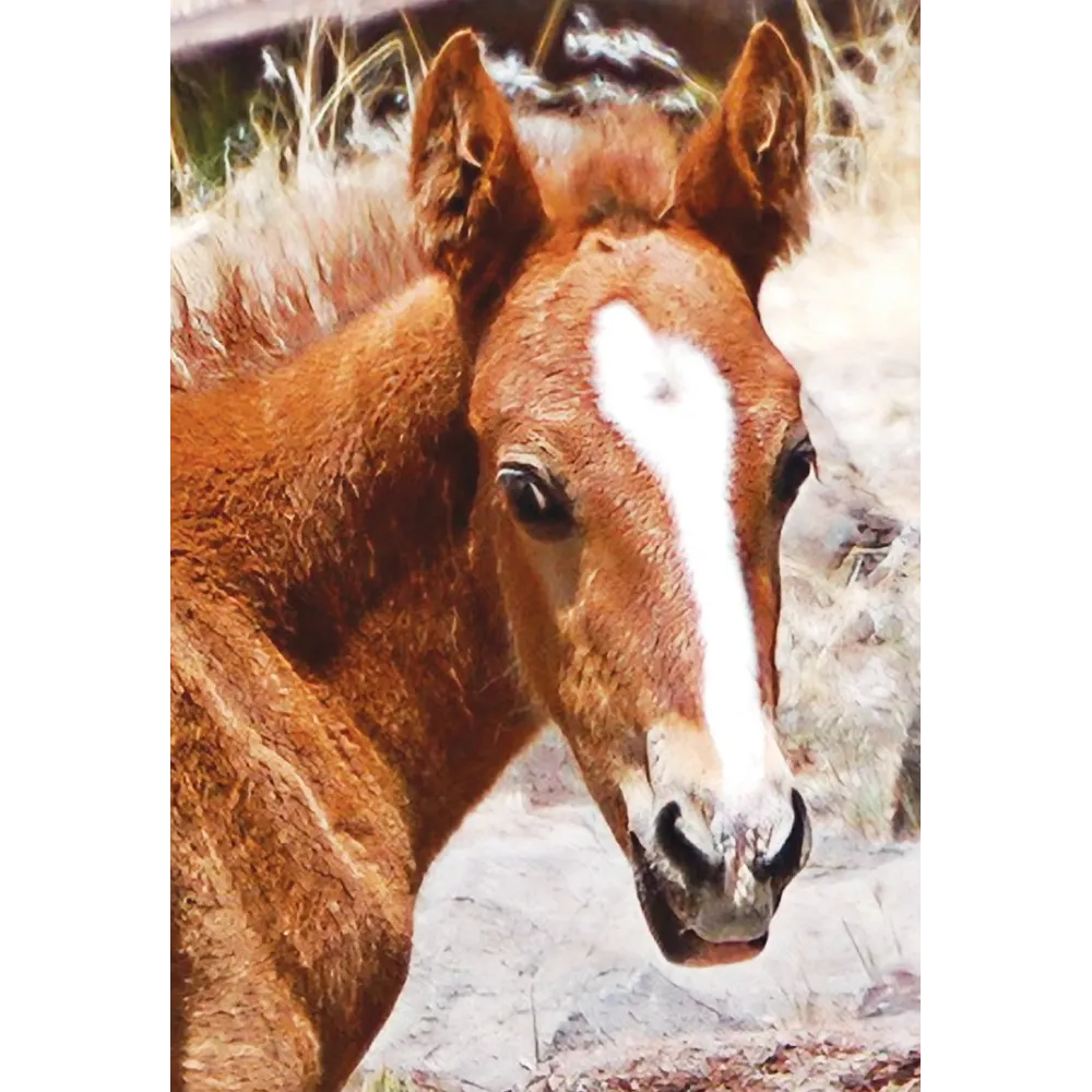 Fórmula compuesta de Wild Earth - Potro salvaje (potro)