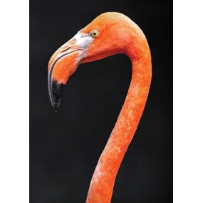 Wild Earth Single Essence -...