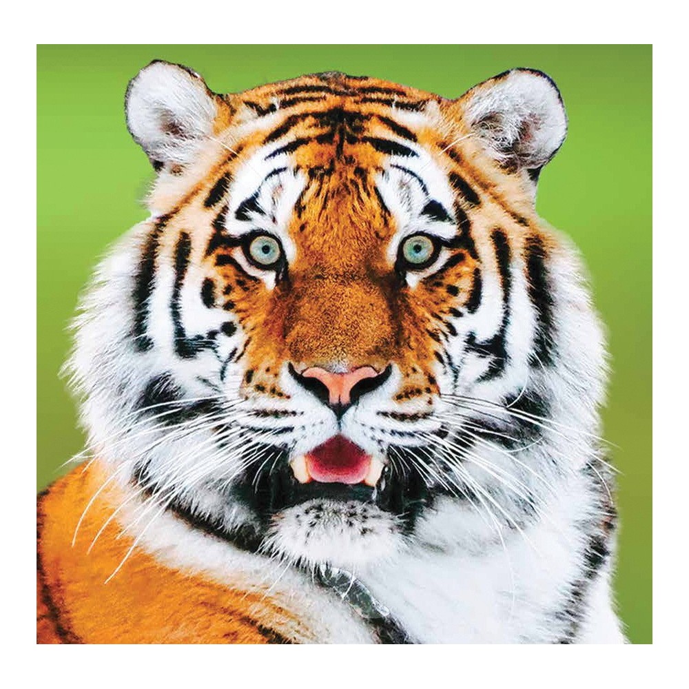 Essenza Singola Wild Earth - Tiger (Tigre) 30 ml