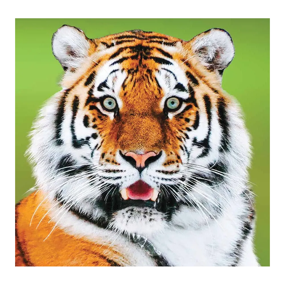 Essence unique Wild Earth - Tigre