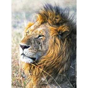 Esencia única de Wild Earth - León