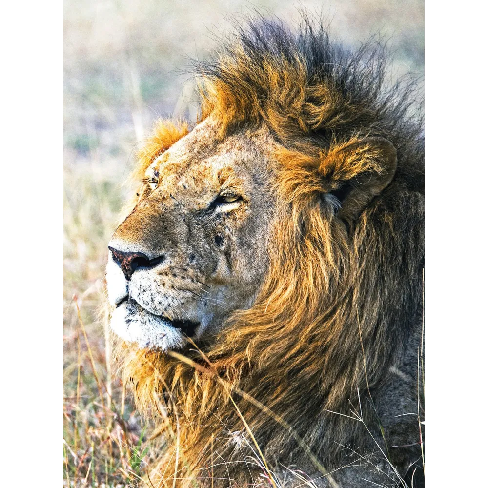 Esencia única de Wild Earth - León