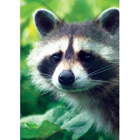 Wild Earth Single Essence -...