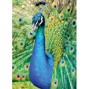 Essenza Singola Wild Earth - Peacock (Pavone) 30 ml