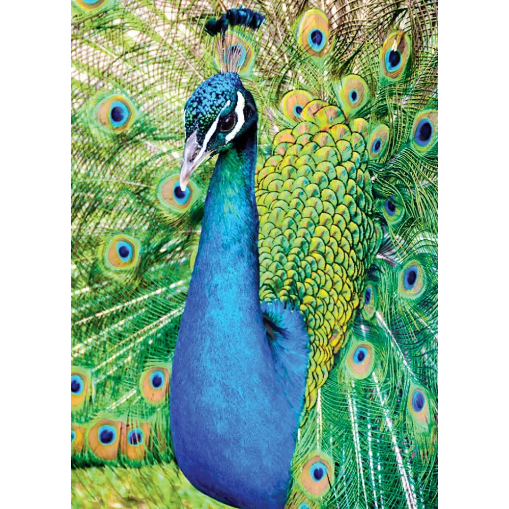 Esencia única Wild Earth - Pavo real