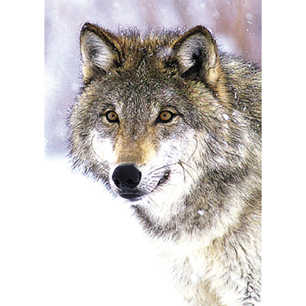 Esencia única de Tierra Salvaje - Lobo