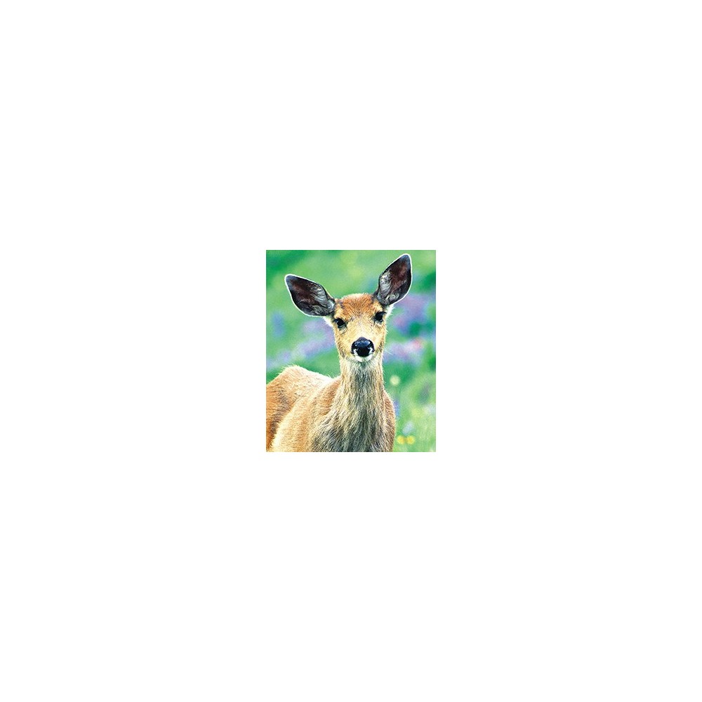 Wild Earth Single Essence - Deer 30 ml