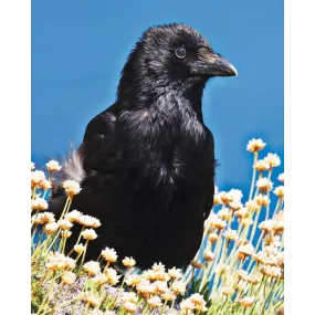 Essence unique Wild Earth -...