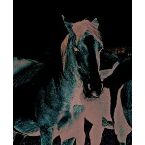 Wild Earth Single Essence -...