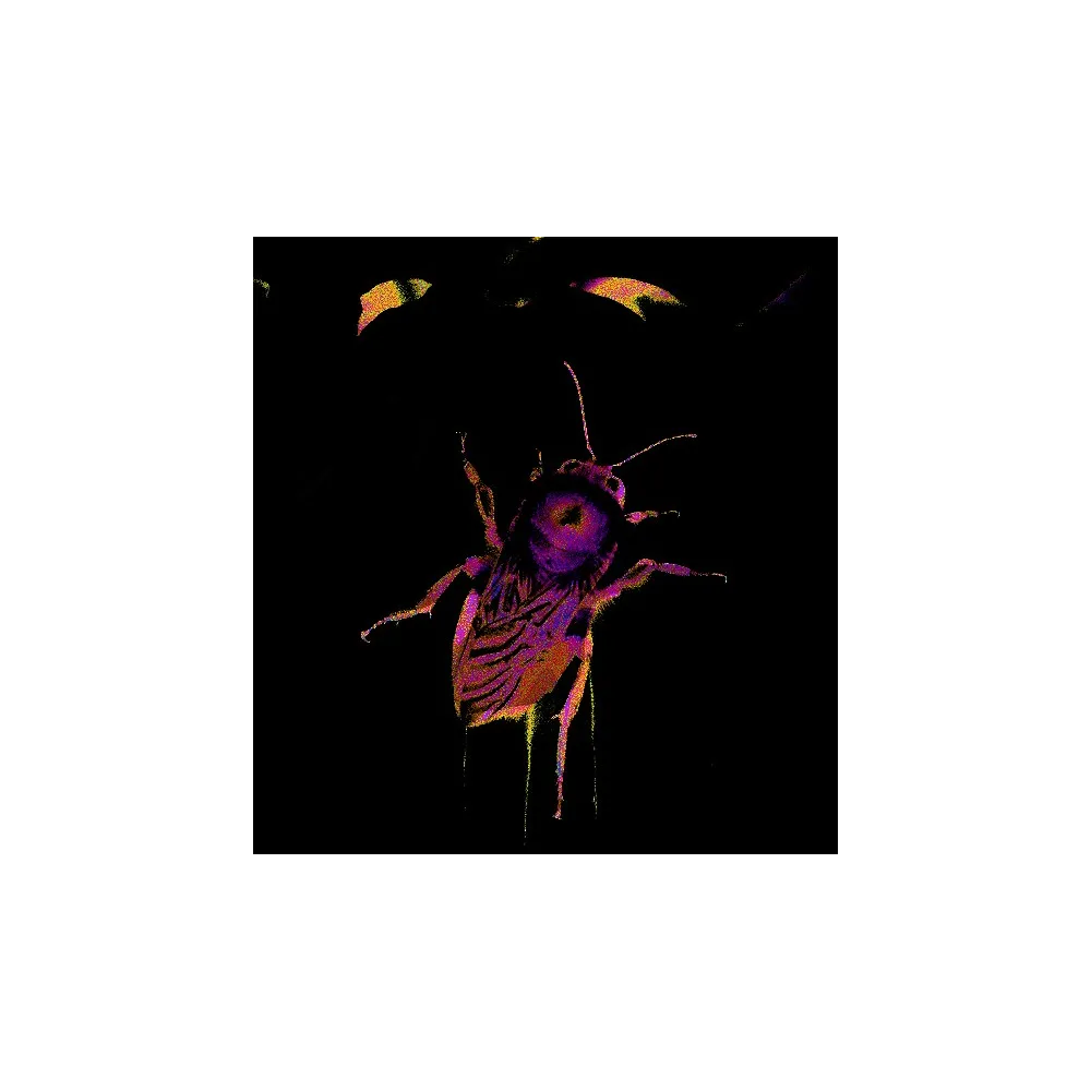 Esencia única de Wild Earth - Bumblebee