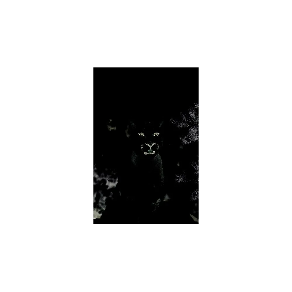 Wild Earth Single Essence – Berglöwe 30 ml