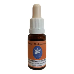 Essence de champignon Korte - Lichen Vésuve 15 ml