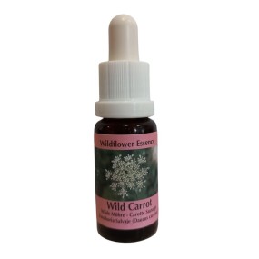 Korte Wildflower Essence - Wild Carrot (15 ml)
