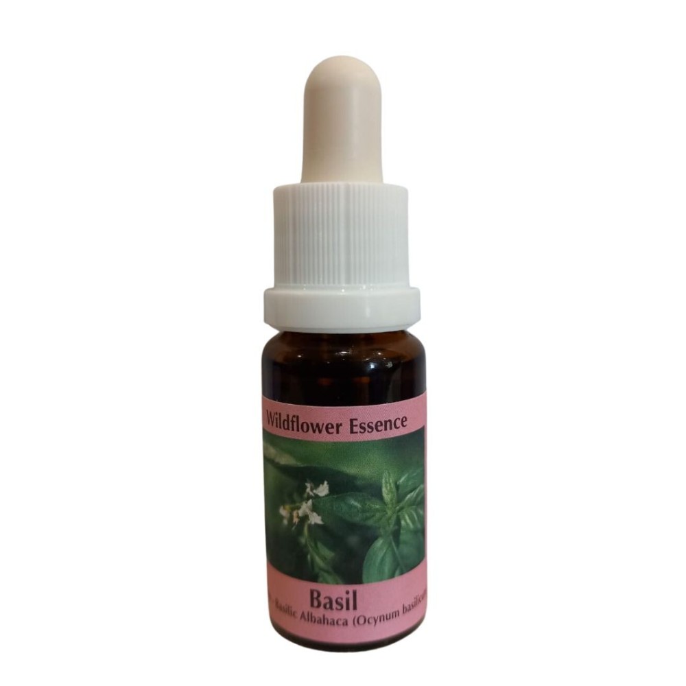 Korte Wildblumenessenz - Basilikum (Basilikum) 15 ml