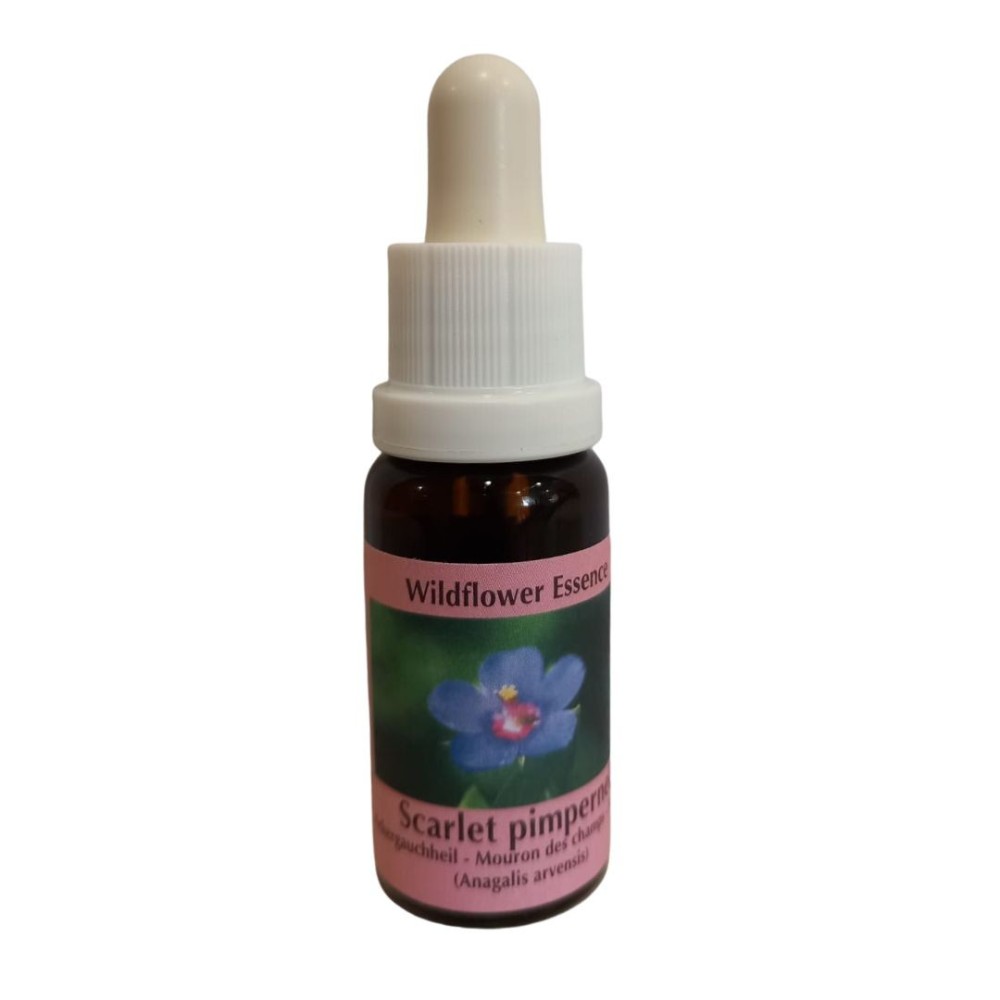 Korte Wild Flower Essence - Scarlet Pimpernel (Primula) 15 ml