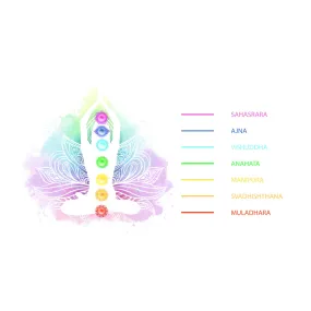 Fórmula compuesta de Wild Earth - 7 chakras