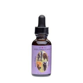 Formule composée Wild Earth - Premier chakra 30 ml