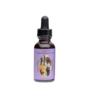 Wild Earth Compound Formula – Erstes Chakra 30 ml