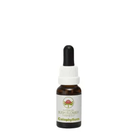 Einzelne Essenzen Australian Bush - Calophyllum 15 ml