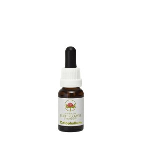 Esencias florales de arbusto australiano - Calophyllum 15 ml
