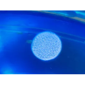 Spray Court - Ocean Spray 50 ml