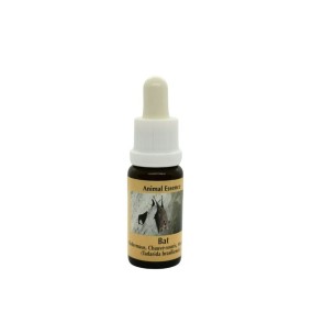 Animal Essences Korte - Murciélago 15 ml