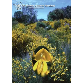 Essence simple de...