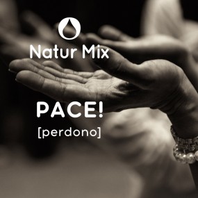 Mix di Essenze Natur Mix - Pace! 30 ml