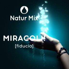 Mix di Essenze Natur Mix - Miracoli! 30 ml
