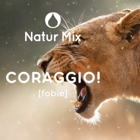 Natur Mix - Courage! 30ml