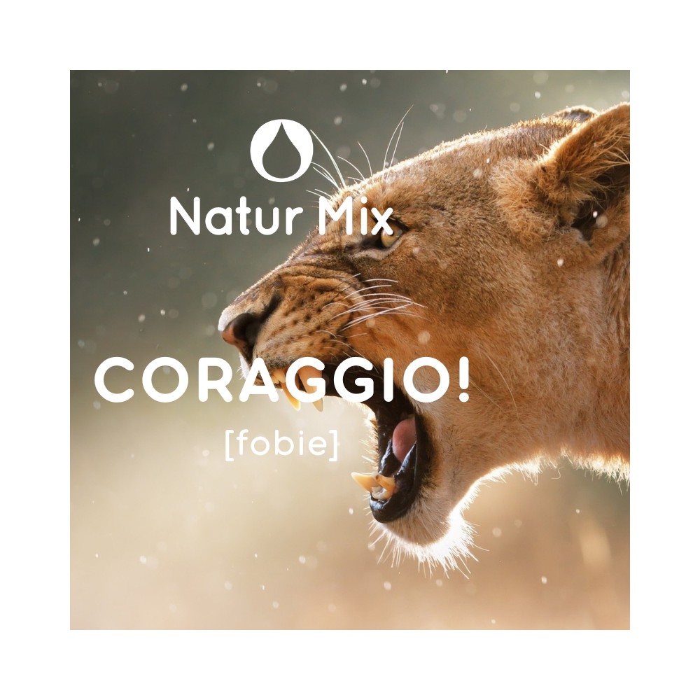 Natur Mix - ¡Coraje! 30ml