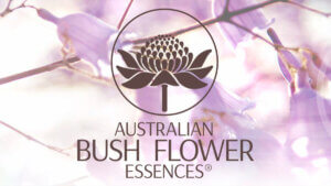 Bush Flower