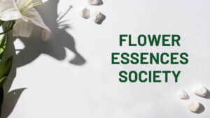 Flower Essence Society