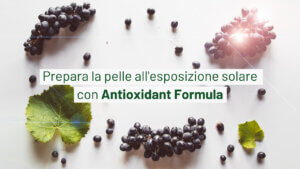 pelle Antioxidant Formula
