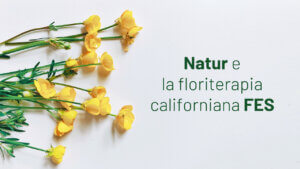 floriterapia californiana