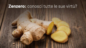 zenzero
