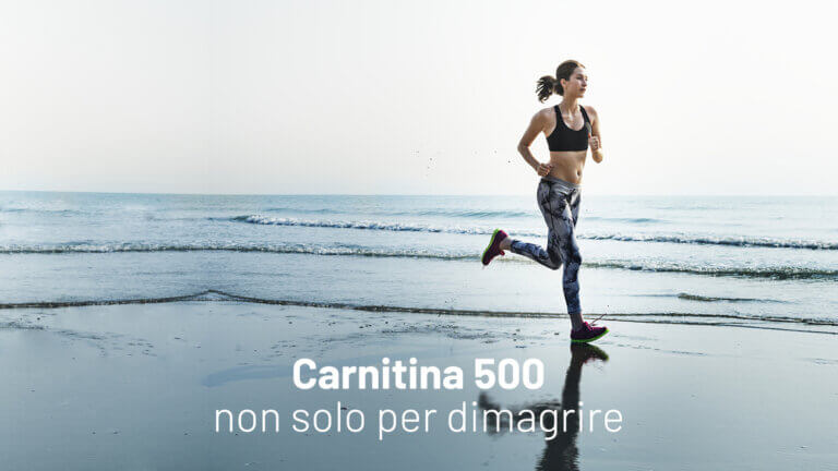 carnitina