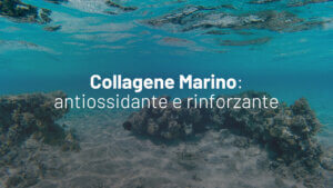 collagene marino
